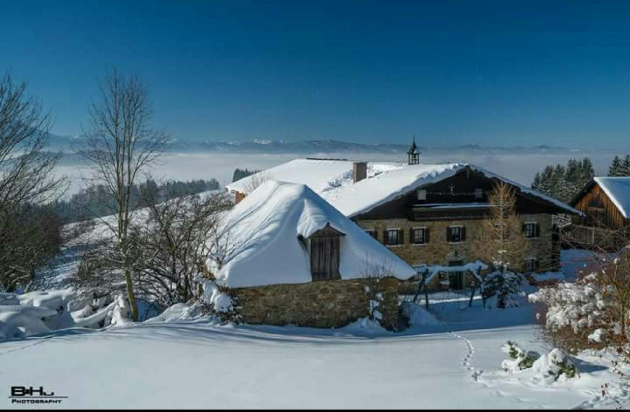 Bauernhof Moadl Βίλα Weyregg Εξωτερικό φωτογραφία